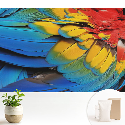 Un mozaic energic de pene colorate