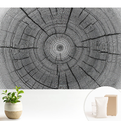 Compoziție simetrică cu cercuri de lemn