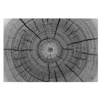 Compoziție simetrică cu cercuri din lemn