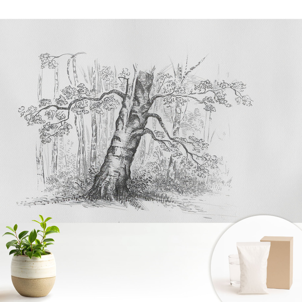 Desenul unui copac în pădure