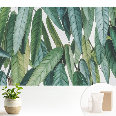 Frunze verzi în stil minimalist, cu motive naturale