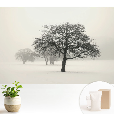 Copaci în peisajul de iarnă cu ceață