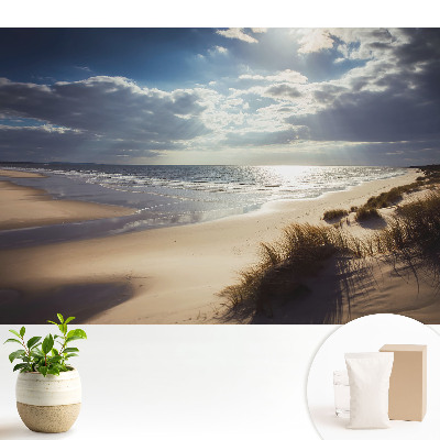 Plajă natură cer zen