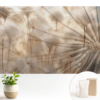 Păpădii eterice armonie a naturii