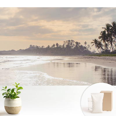 O plajă liniștită cu palmieri