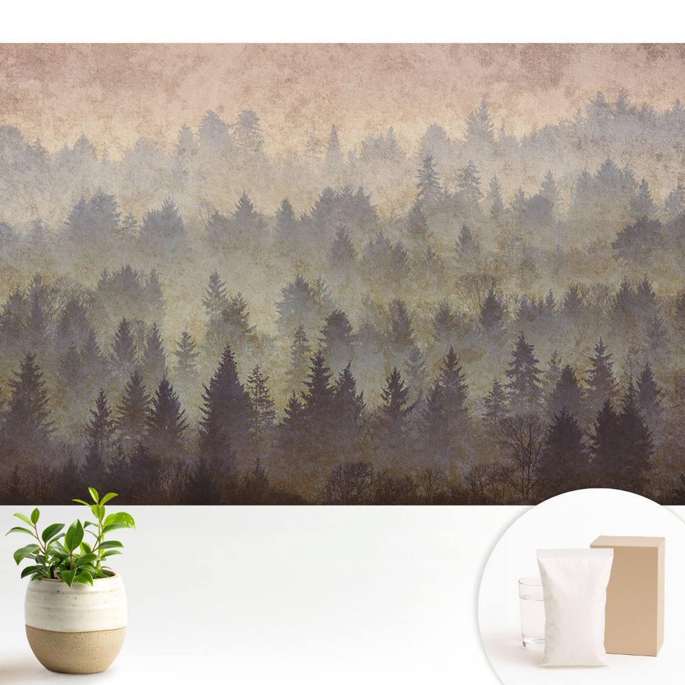 Păduri atmosferice învăluite în ceață