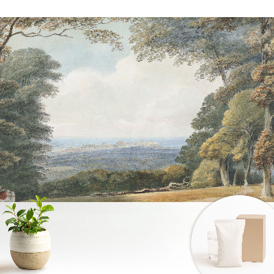 Peisaj lângă pădure, vedere asupra orașului