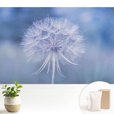 Păpădie în tonuri de albastru