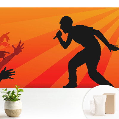 Energia muzicii și a publicului