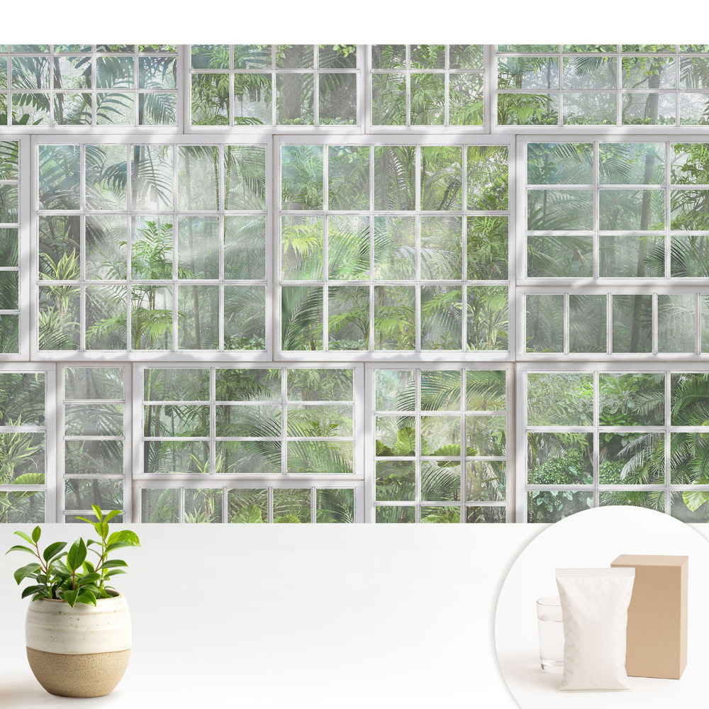 Jungla verde în spatele ferestrelor albe