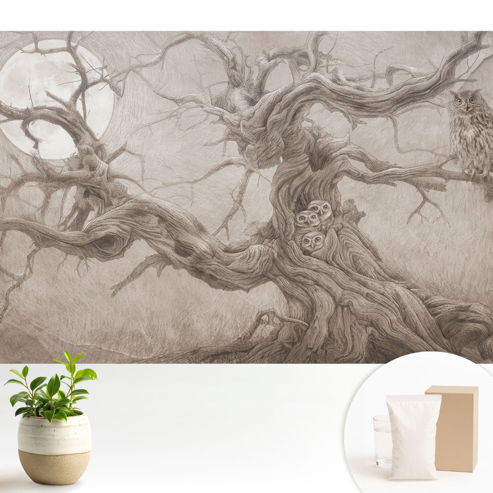 Stejarul Lunii cu Bufnițe