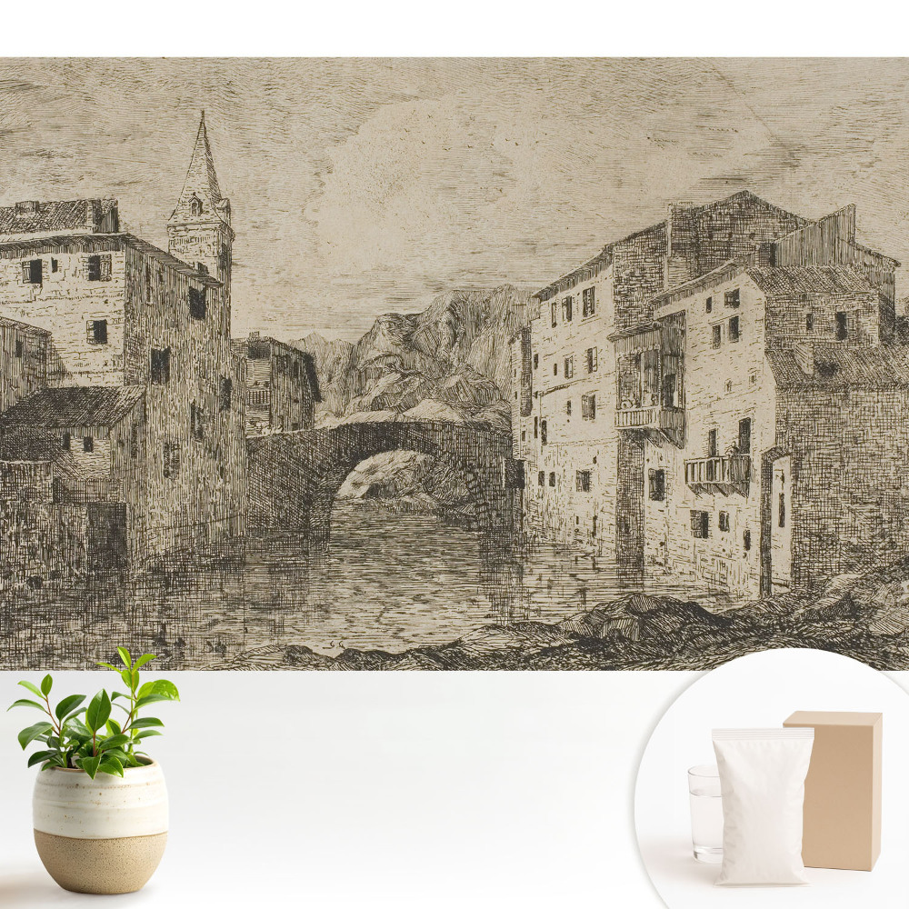 Clădiri clasice pod râu.