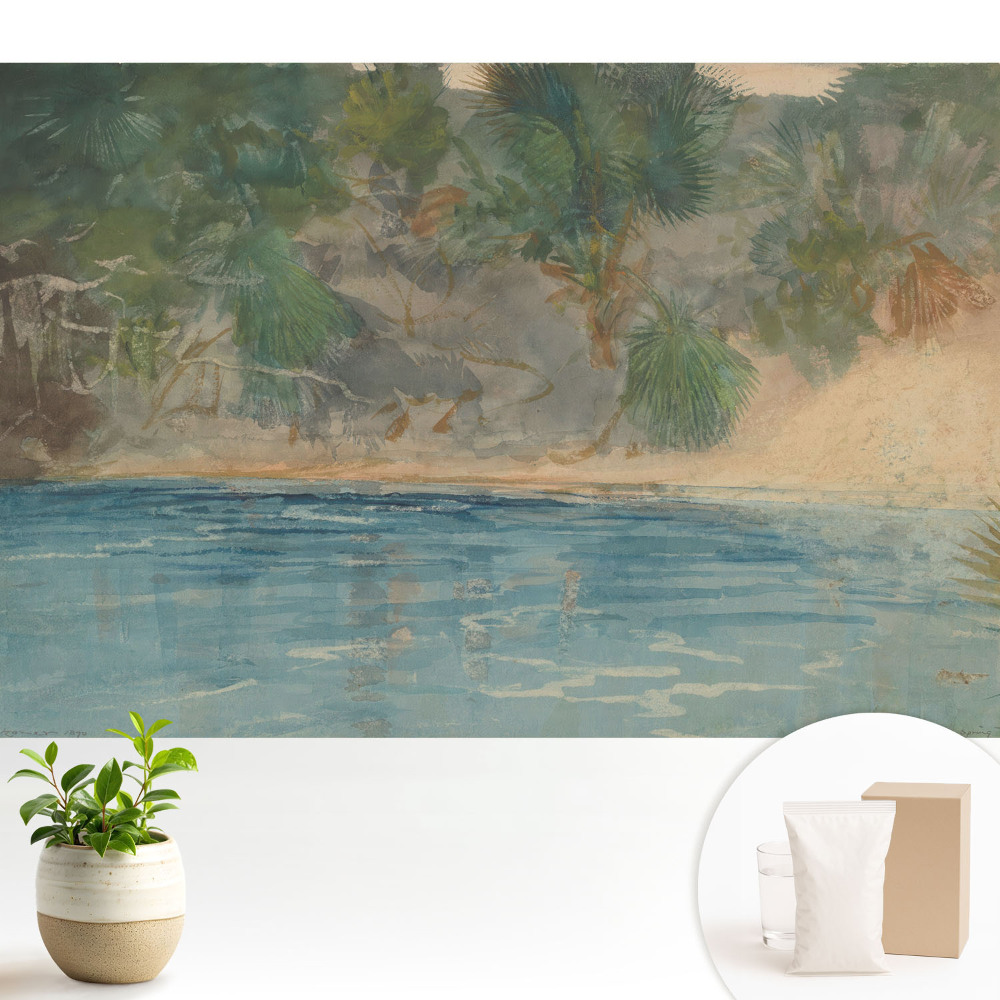 Peisaj exotic, atmosferă relaxantă