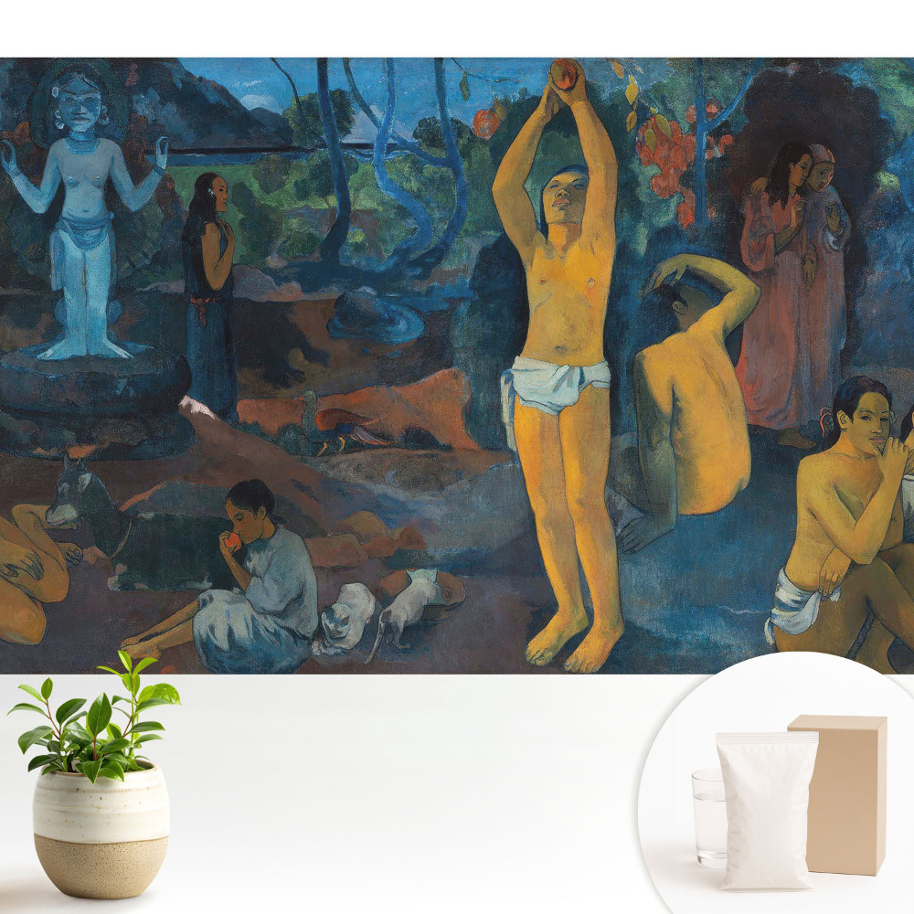 Liniștea exotică a insulei