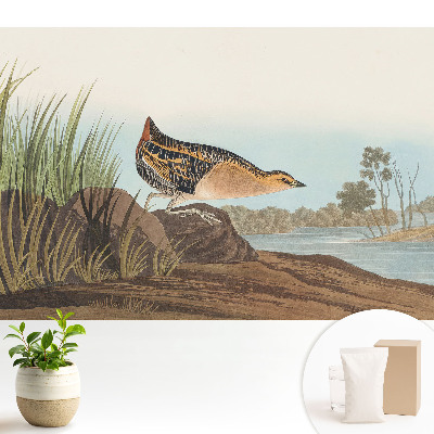 O pasăre deasupra apei în stil clasic