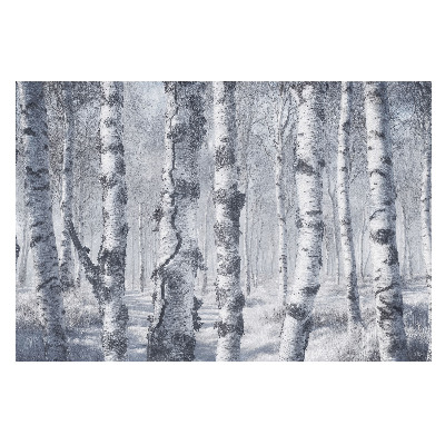 Pădure de mesteacăn iarna