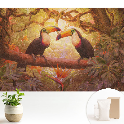 Tucanii din tropice, o armonie a exoticului