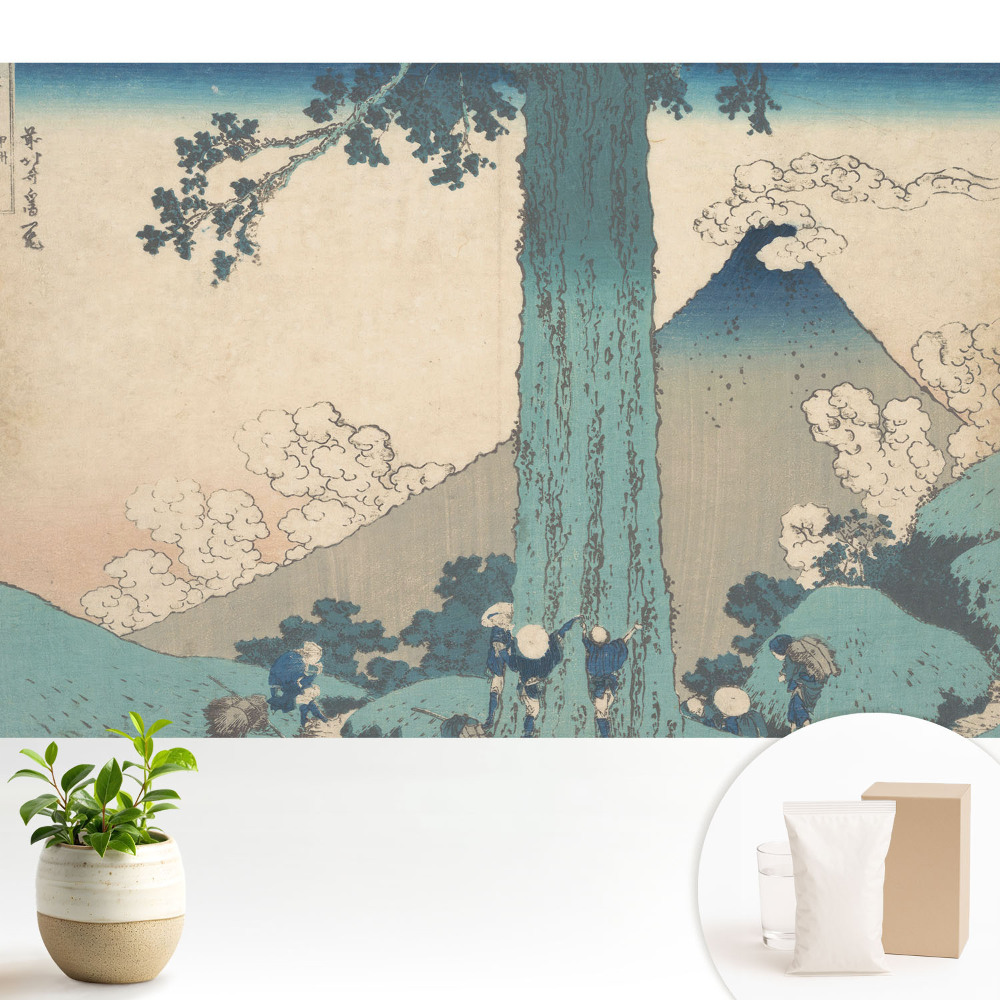 Estetica peisajului japonez al armoniei