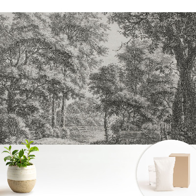 Peisaj forestier clasic, plin de armonie și pace