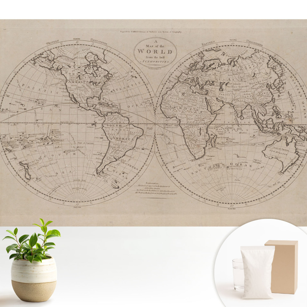 Desen istoric al lumii