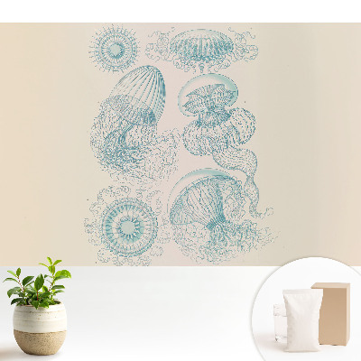 Desene subtile cu meduze marine