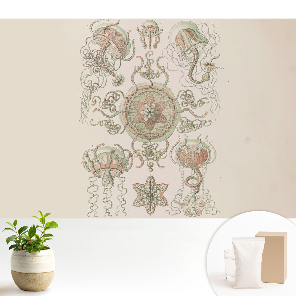 Motiv simetric delicat cu meduze