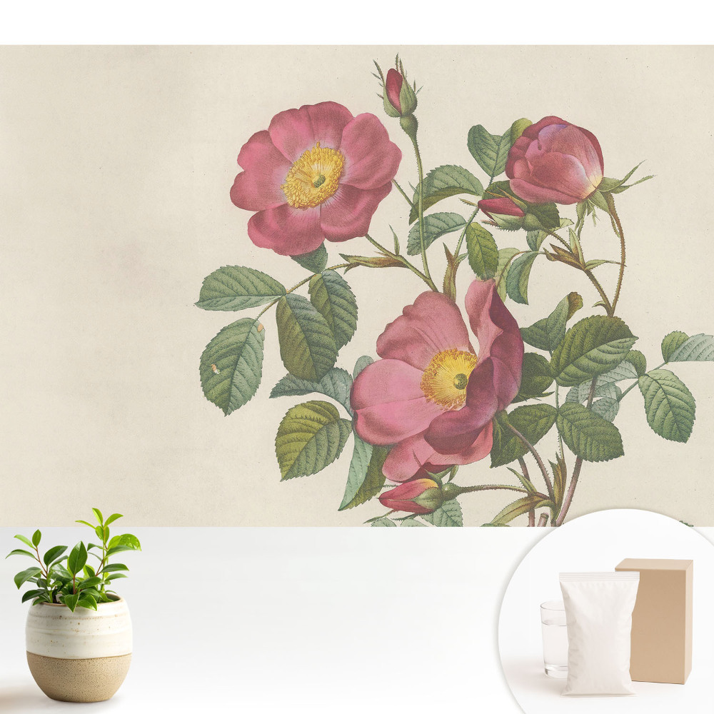 Trandafiri sălbatici într-o compoziție clasică