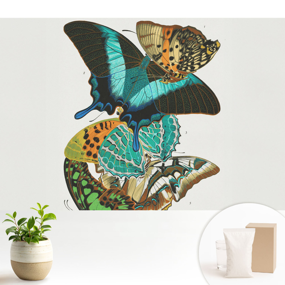 Fluturi colorați compoziție armonioasă clasică