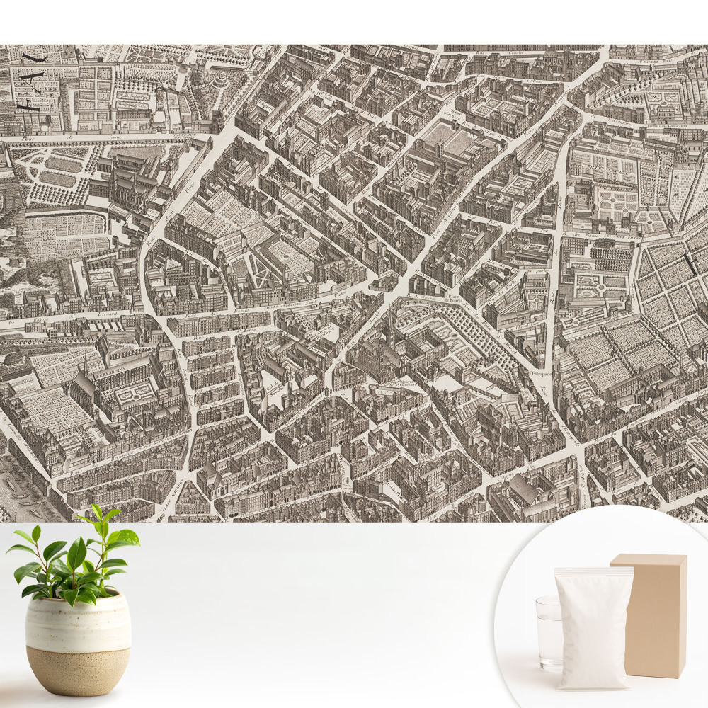 Hartă clasică a orașului