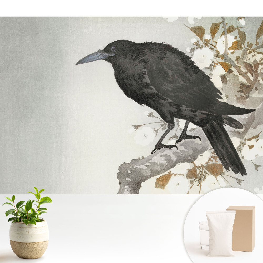 Un corb subtil pe fundalul ramurilor înflorite