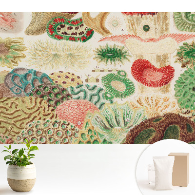 Motive și structuri organice abstracte