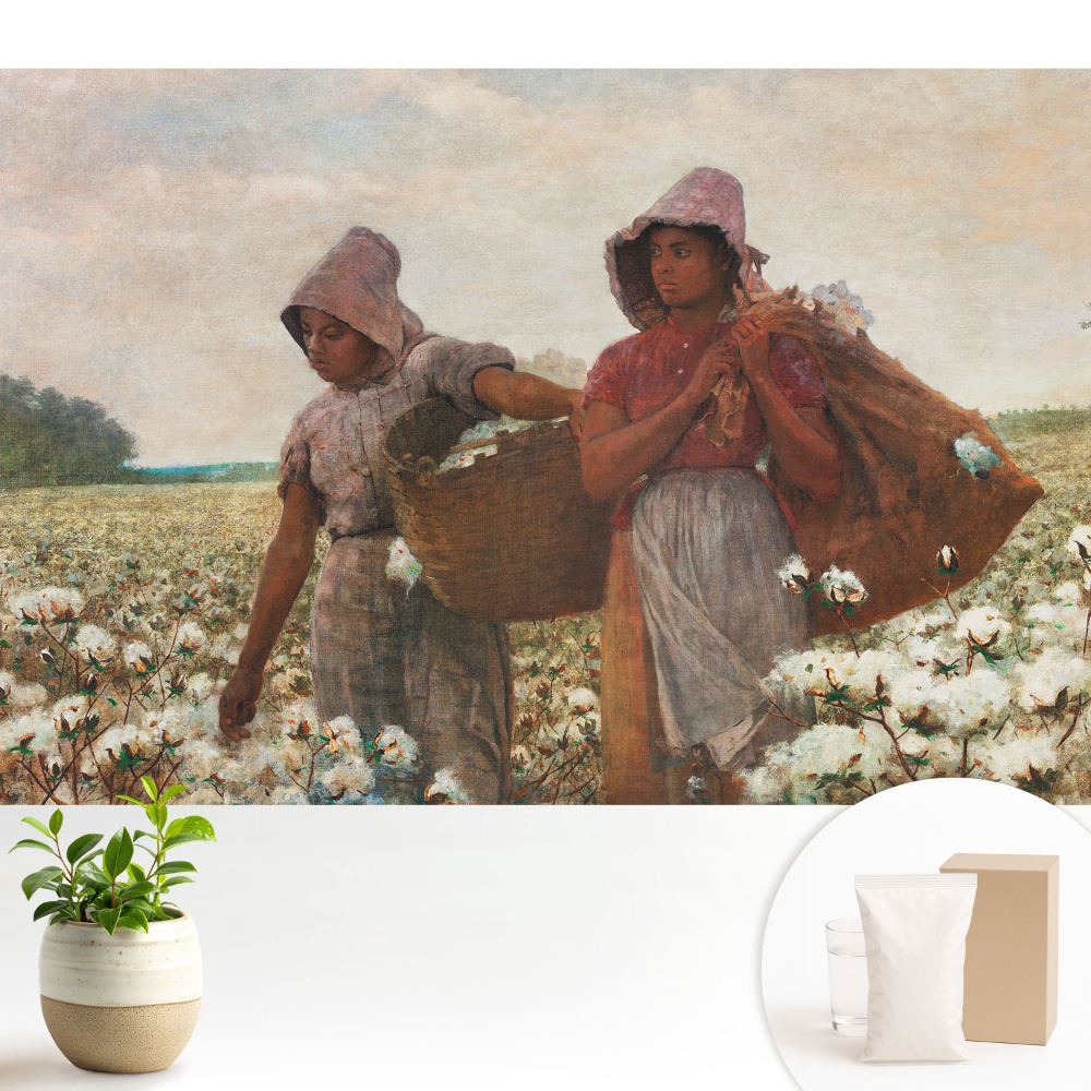 Câmp rustic de bumbac