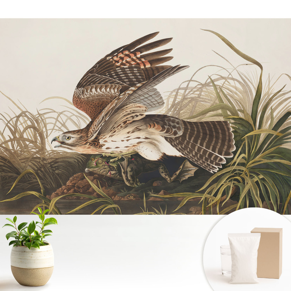 O pasăre în zbor printre iarbă