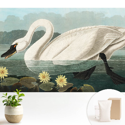 Lebădă elegantă și nuferi, decorative în stil clasic