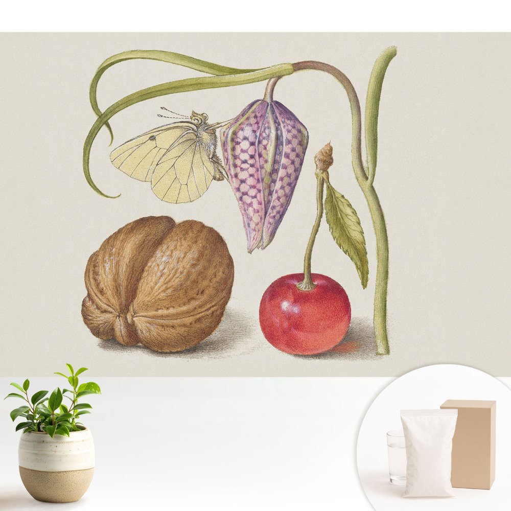 Fluture pe frunză de floare și fructe