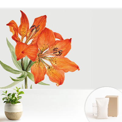 Crin portocaliu, subtil clasic