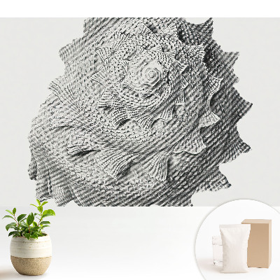 Armonie vizuală în formă de coajă spirală