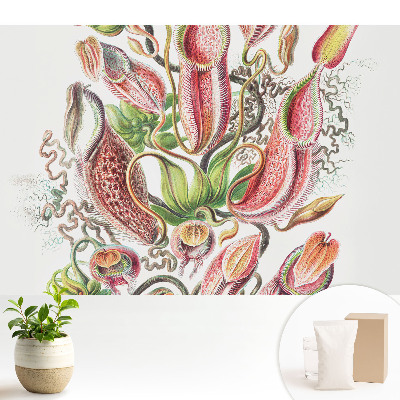 Plante insectivore exotice