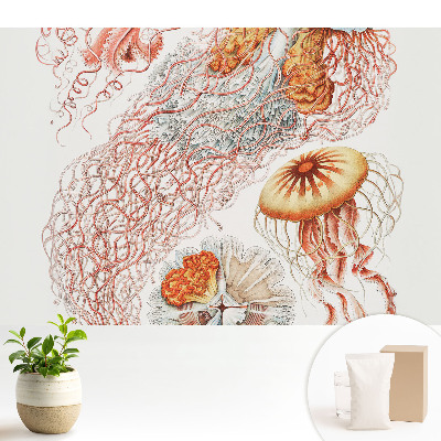 Meduze artistice cu detalii