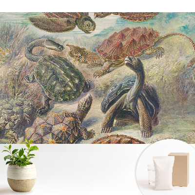 Diverse țestoase în peisaje acvatice