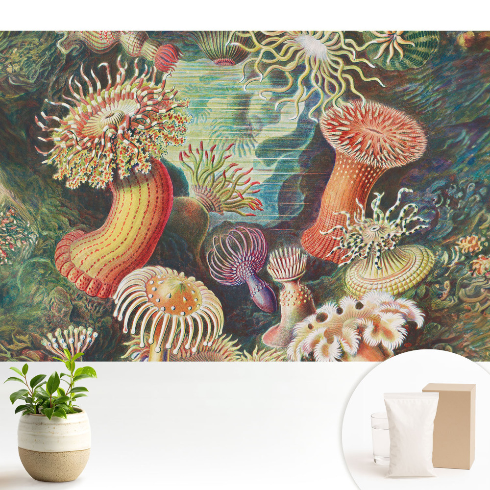 Forme subacvatice și culori strălucitoare