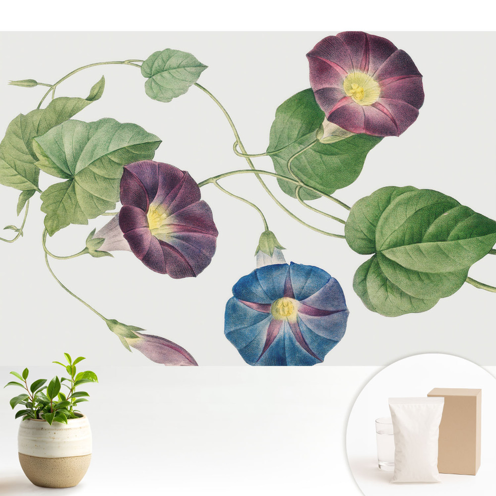 Motive botanice florale delicate