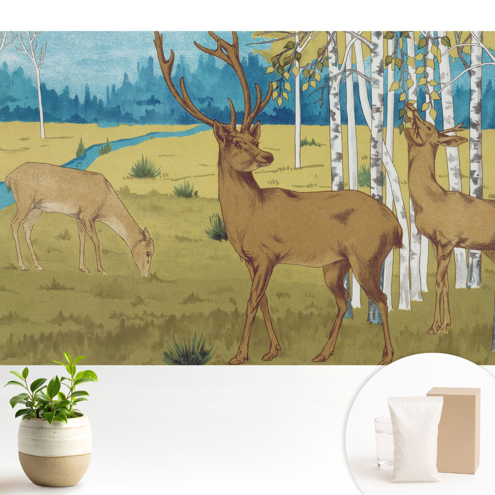 Cerb în pădurea de mesteacăn