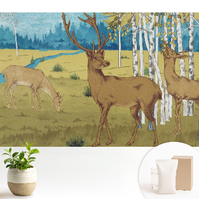 Cerb în pădurea de mesteacăn