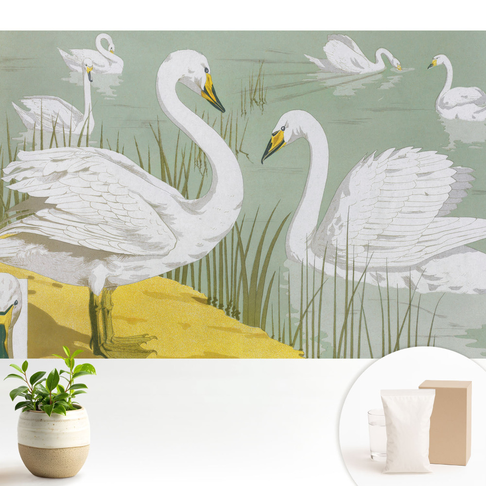 Lebede pe lac Eleganță romantică