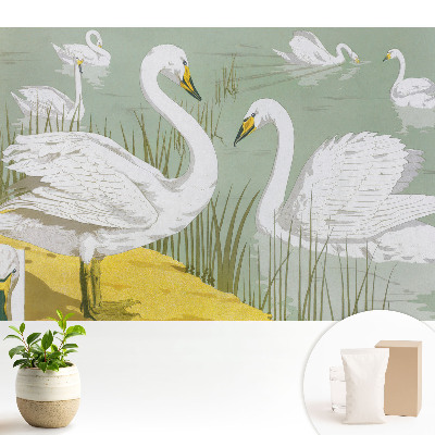 Lebede pe lac Eleganță romantică