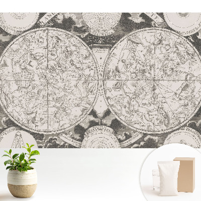 Hartă retro a constelațiilor istorice