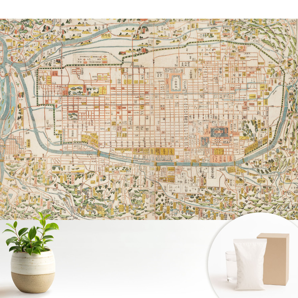 Hartă istorică a orașului cu detalii despre străzi