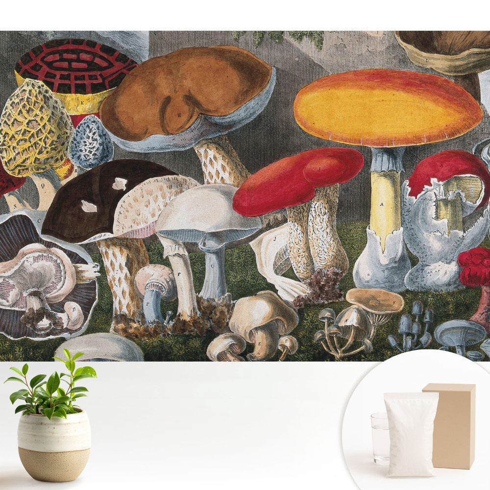 Varietate de ciuperci în stil botanic