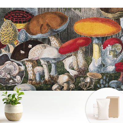 Varietate de ciuperci în stil botanic